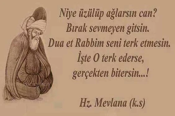 mevlana celaleddını rumının anlamli sozlerı ask hasret sevgı dın (8)